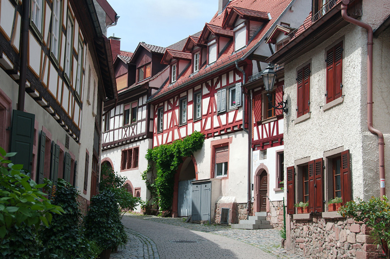 Altbau­sanierung bei Elektro Krause GmbH in Flöha